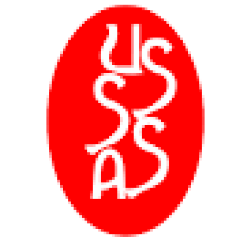 USSSA SCORES
