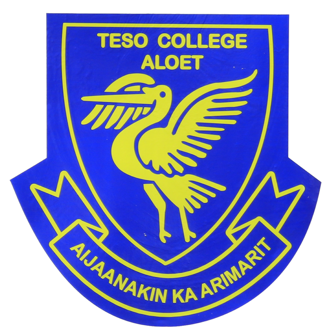 TESO COLLEGE ALOET